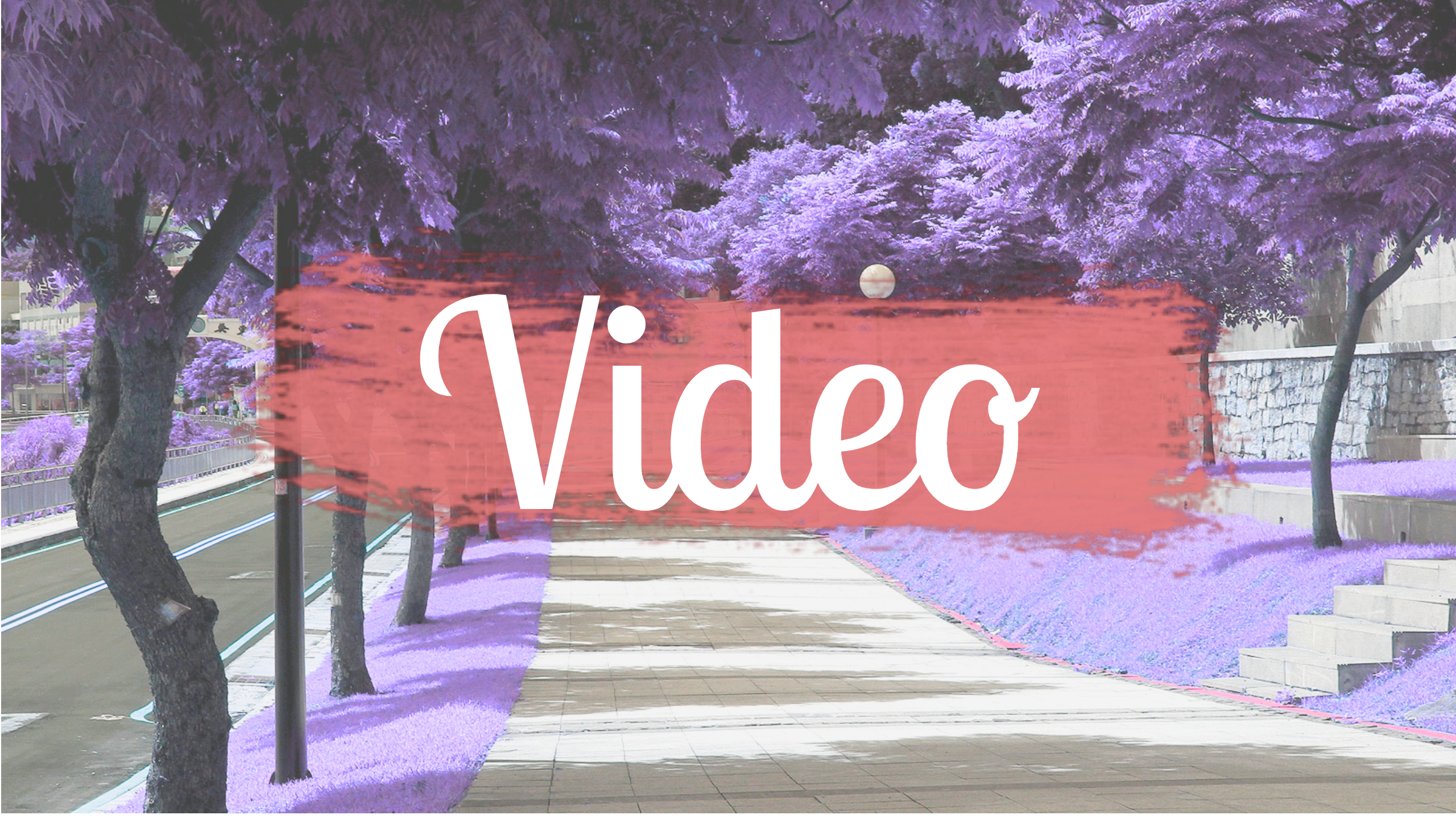 Video