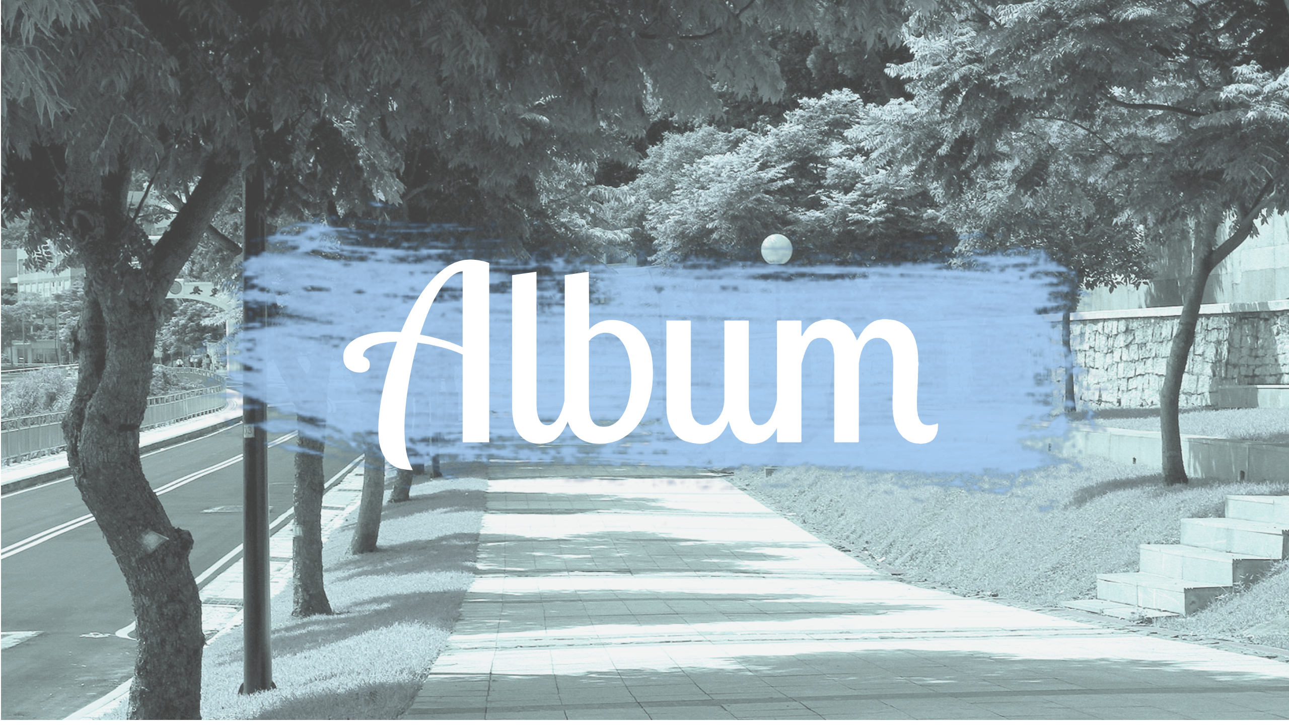 Album